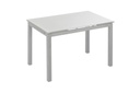 MESA BISBE EXTENSIBLE BLANCA CHASIS GRIS